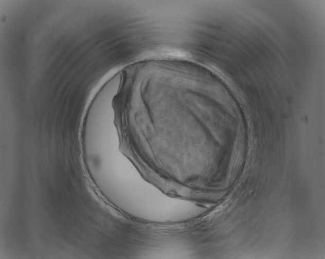 X0000062620864200601111032