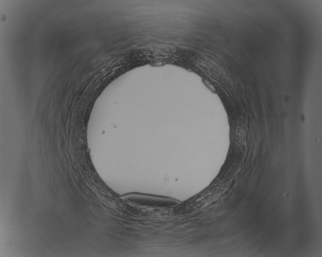 X0000062620865200601111032