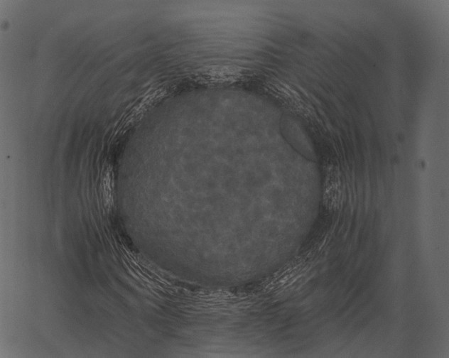 X0000062620866200601111032