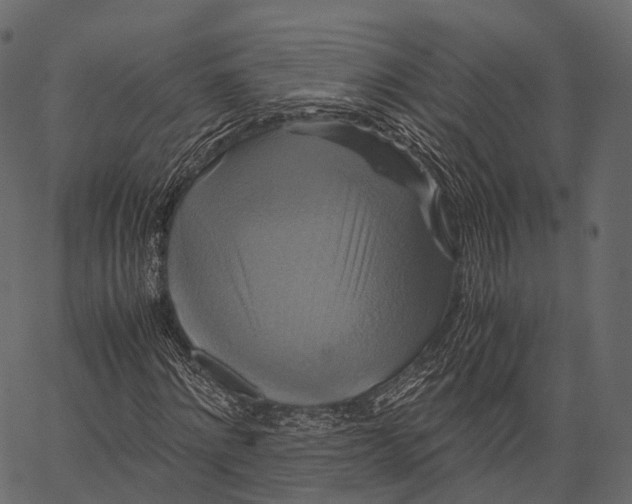 X0000062620868200601111032