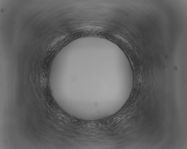 X0000062620869200601111032