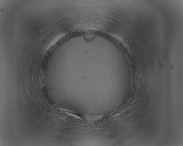 X0000062620871200601111031