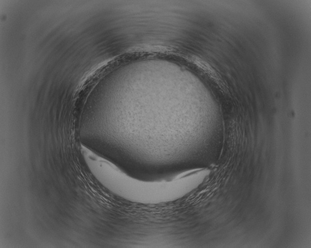 X0000062620872200601111031