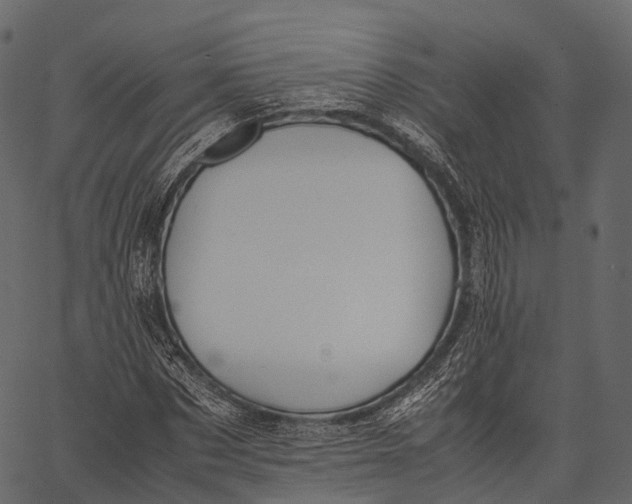 X0000062620873200601111031