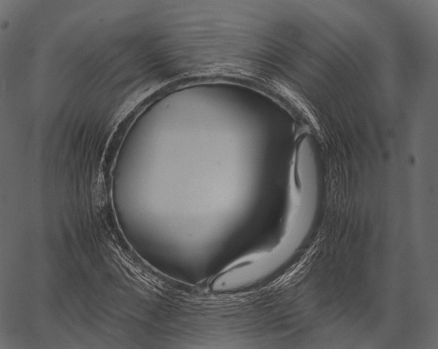 X0000062620876200601111031