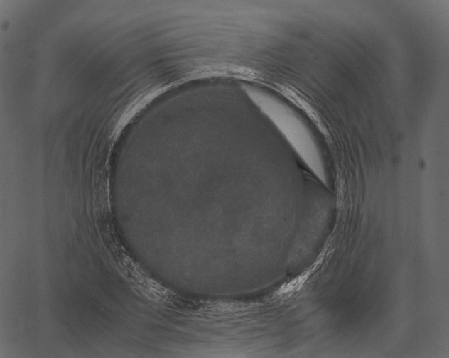 X0000062620877200601111031