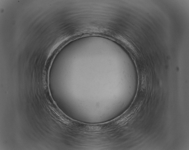 X0000062620878200601111031