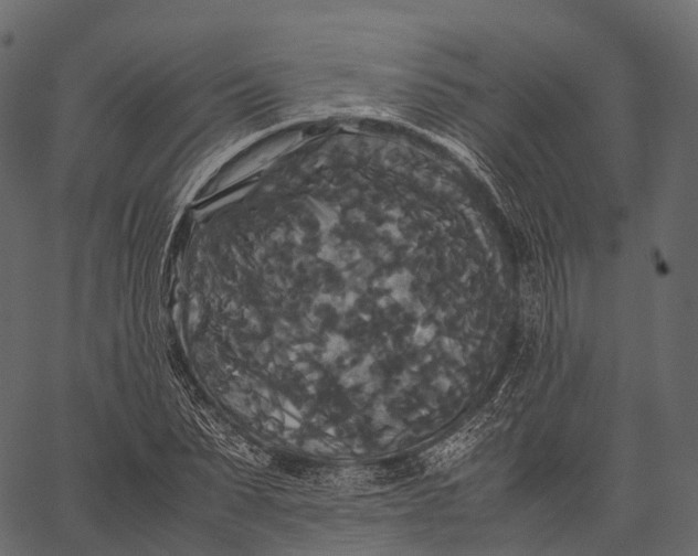 X0000062620879200601111031