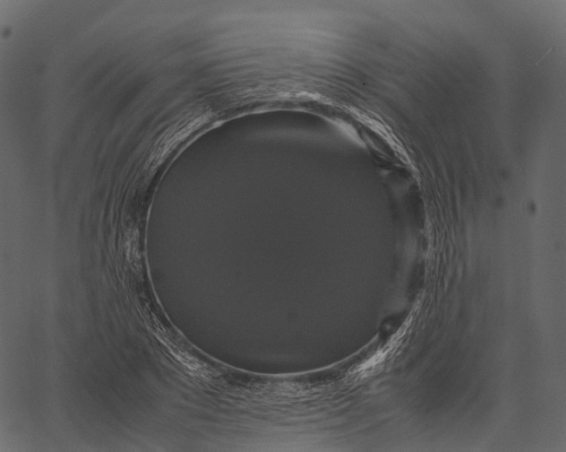 X0000062620881200601111031