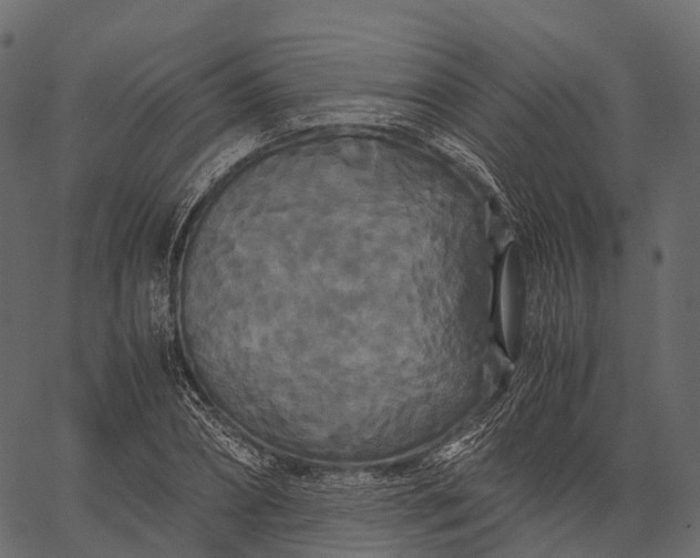 X0000062620882200601111031