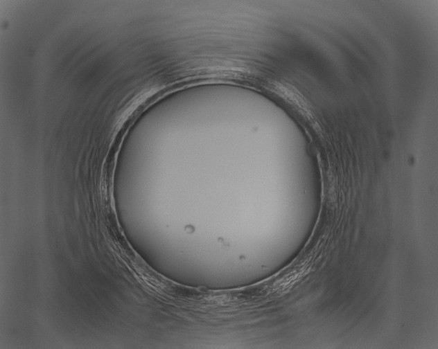 X0000062620883200601111031