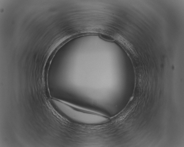 X0000062620884200601111031