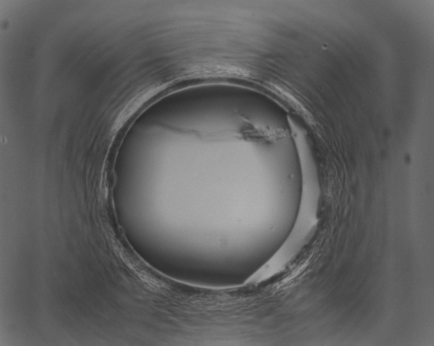 X0000062620885200601111031