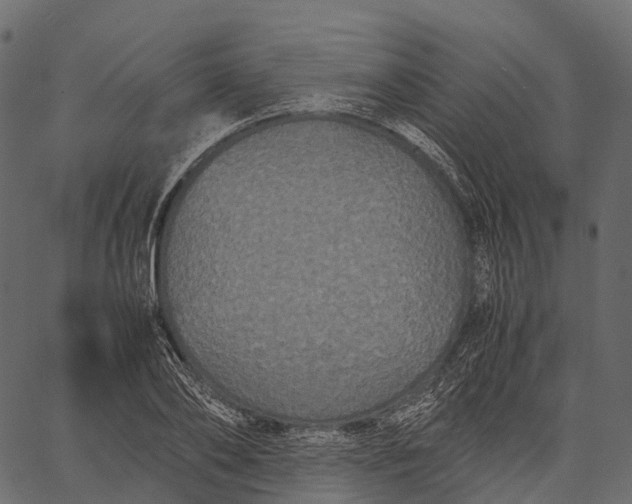 X0000062620886200601111031