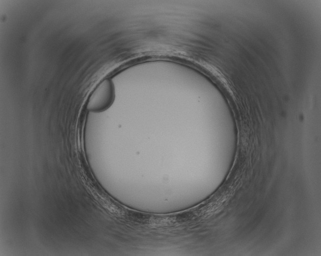 X0000062620887200601111031