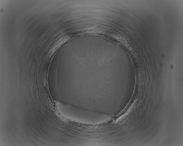 X0000062620889200601111031