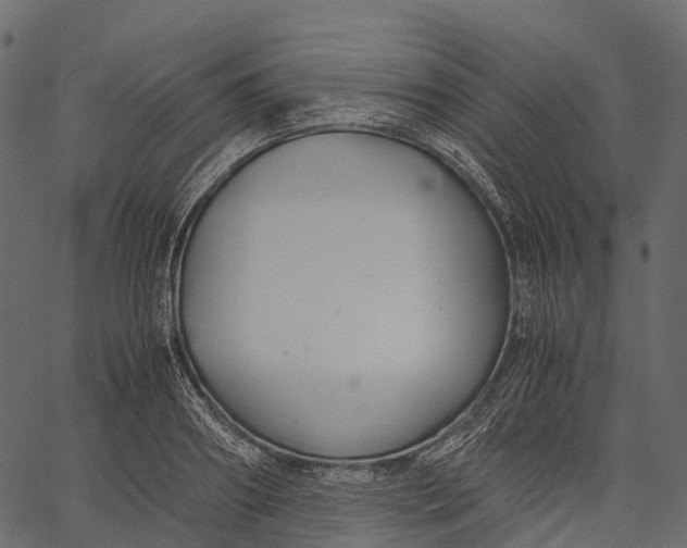 X0000062620890200601111031