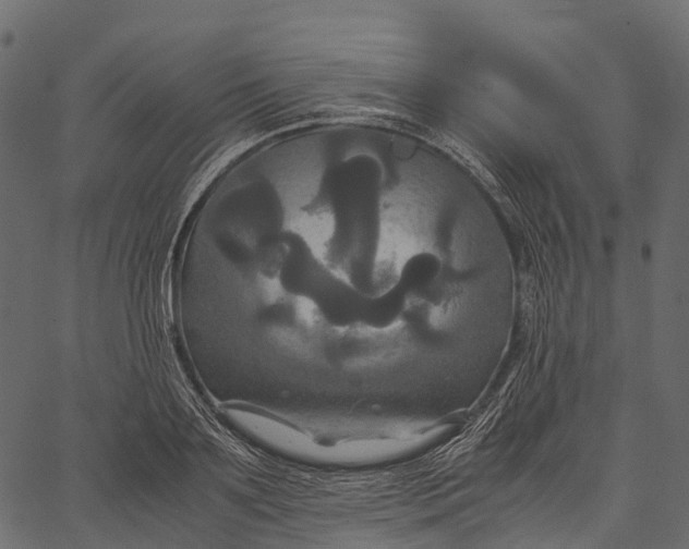 X0000062620891200601111031