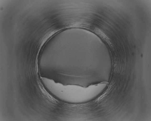 X0000062620892200601111031