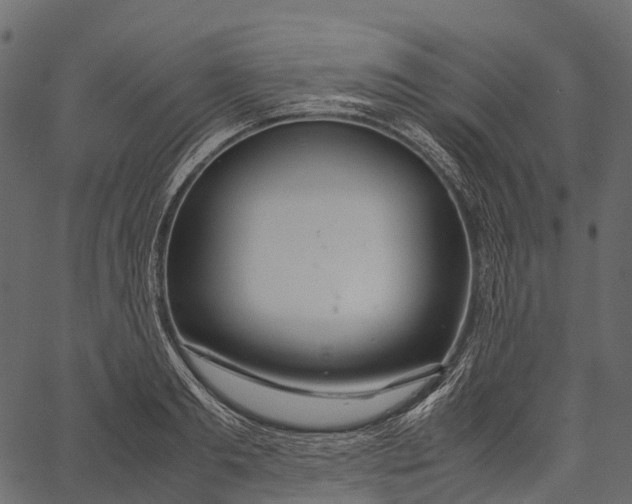 X0000062620893200601111031