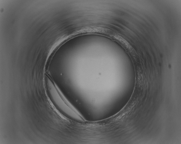 X0000062620894200601111031