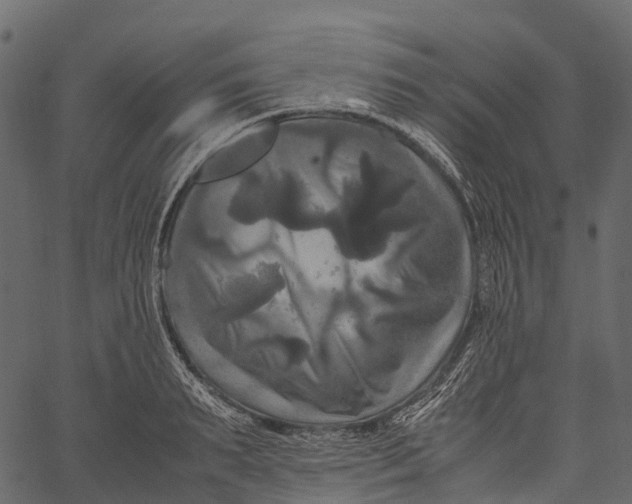 X0000062620895200601111031