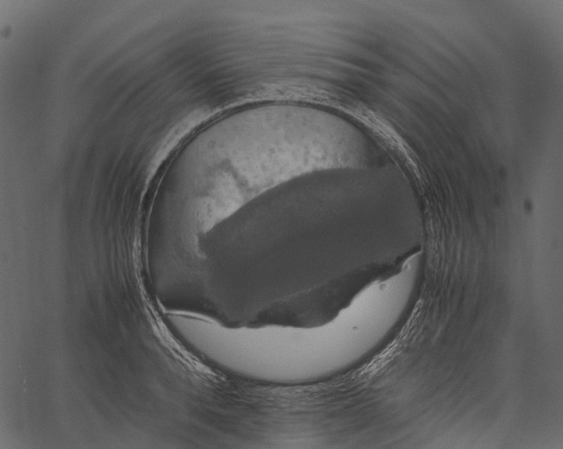 X0000062620896200601111031