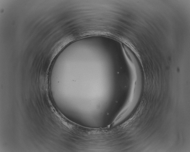 X0000062620898200601111031