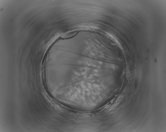 X0000062620899200601111031