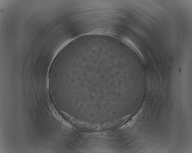 X0000062620900200601111031