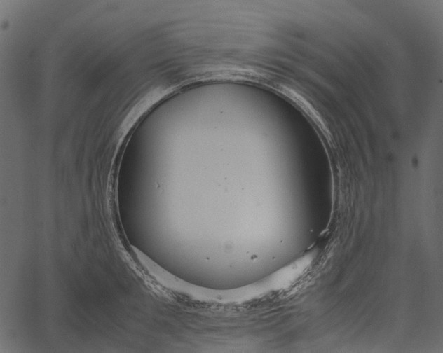 X0000062620901200601111031