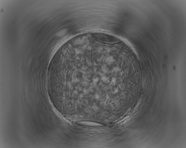 X0000062620903200601111031