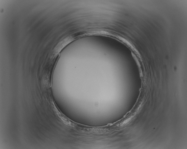 X0000062620905200601111031