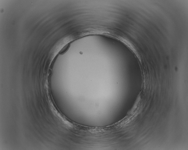 X0000062620906200601111031