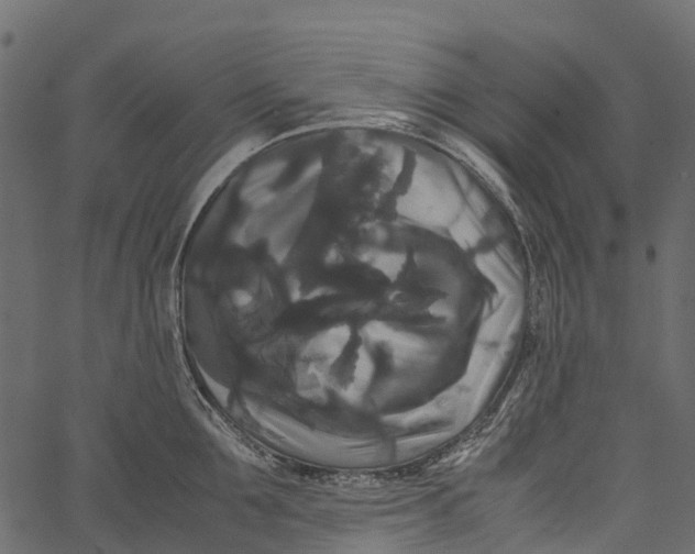 X0000062620907200601111031