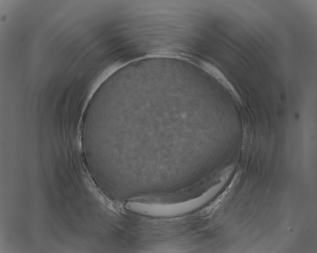 X0000062620908200601111031