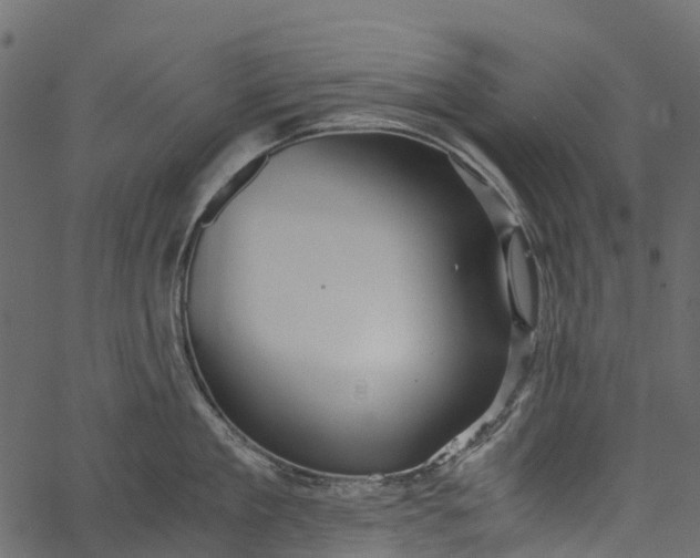 X0000062620909200601111031