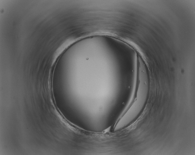 X0000062620910200601111031