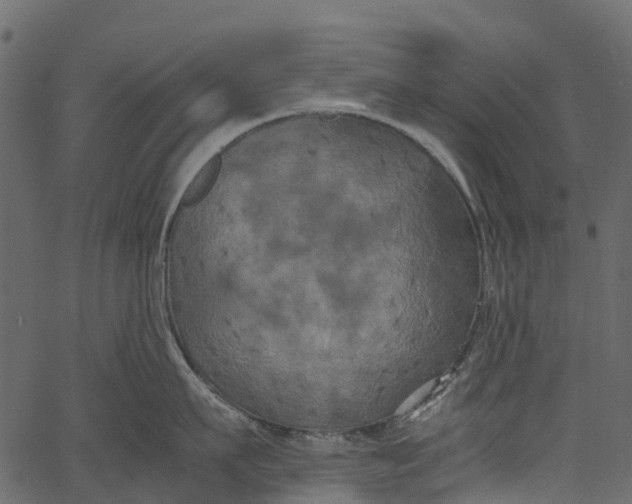 X0000062620911200601111031