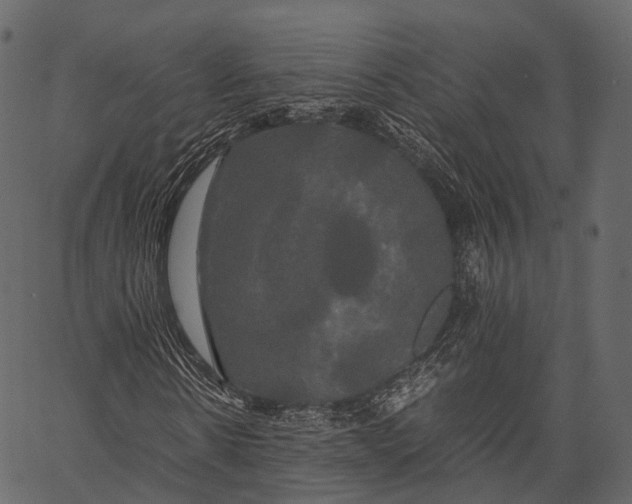 X0000062620914200601111030