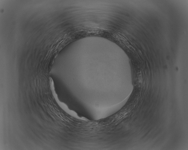 X0000062620916200601111030