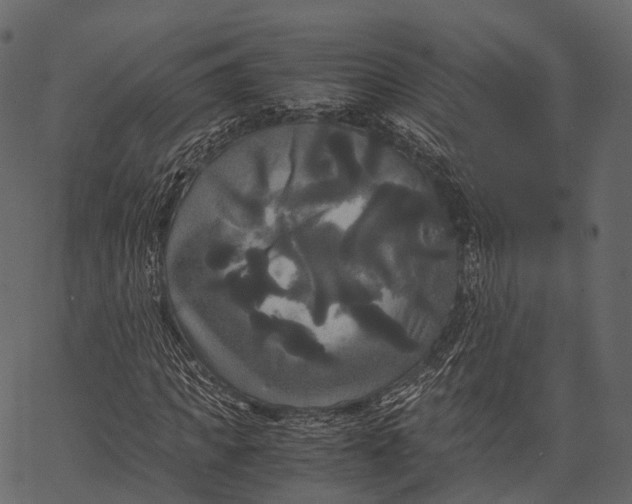 X0000062620917200601111030