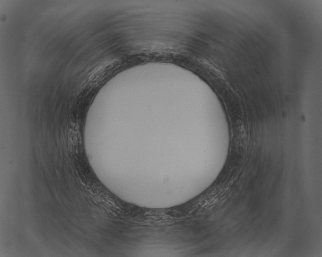 X0000062620918200601111030