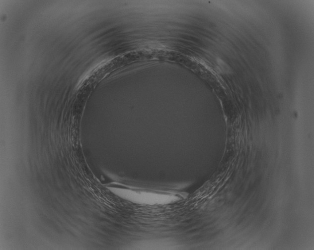 X0000062620919200601111030