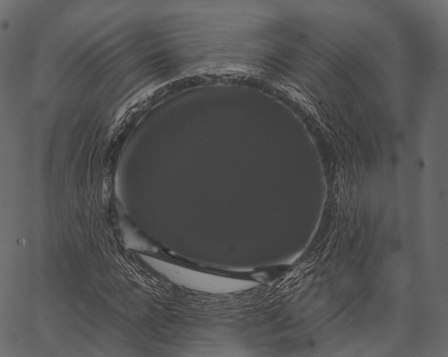 X0000062620920200601111030