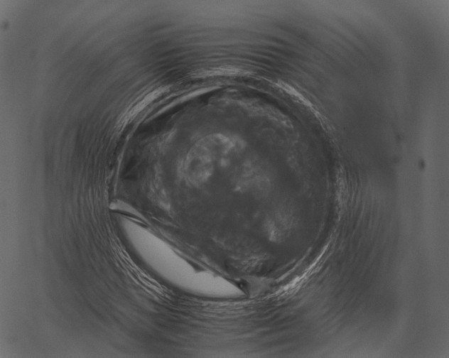 X0000062620921200601111030