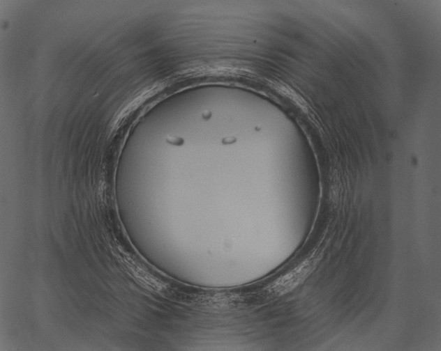 X0000062620922200601111030