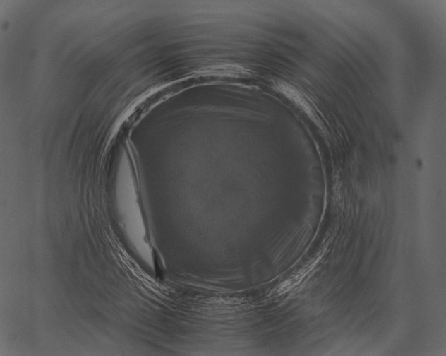 X0000062620923200601111030