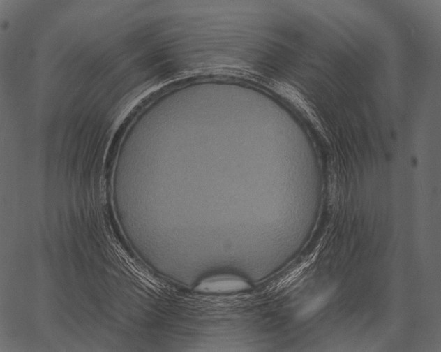 X0000062620924200601111030