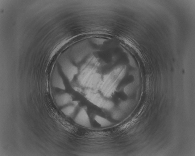 X0000062620925200601111030